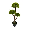 Green-TZL2411137