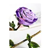 Hojas verdes coloridas, rosas moradas