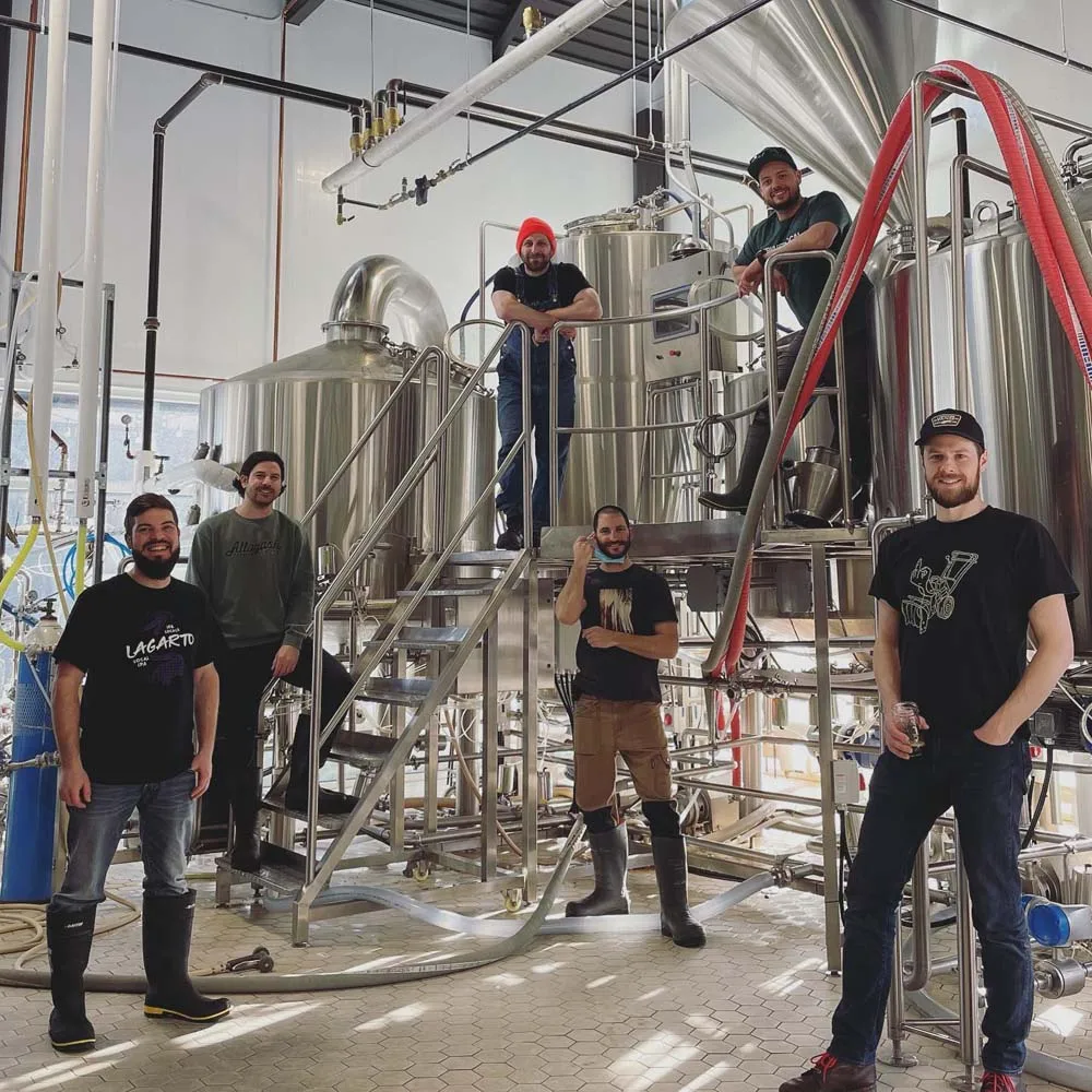 Turnkey 1000L Beer Brewing Equipment with Grain Miller, Brewhouse, Beer Fermenter, Bbt, Control, Cip