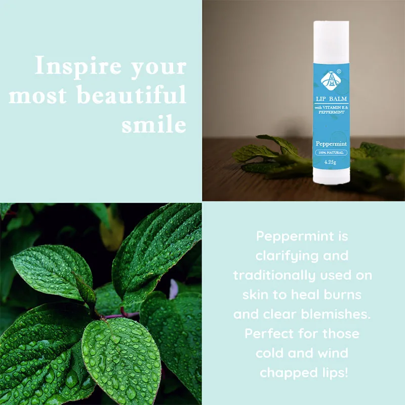 AH Отшелушивающий увлажняющий мятный кокосовый палочка для губ мужчин от частной