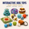Jouets interactifs de mouvement pour animaux de compagnie