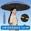 Misty Blue [16-Bone Wind Resistance]