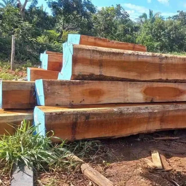 High Quality JATOBA Timber and the Best Price of Timber From South America
