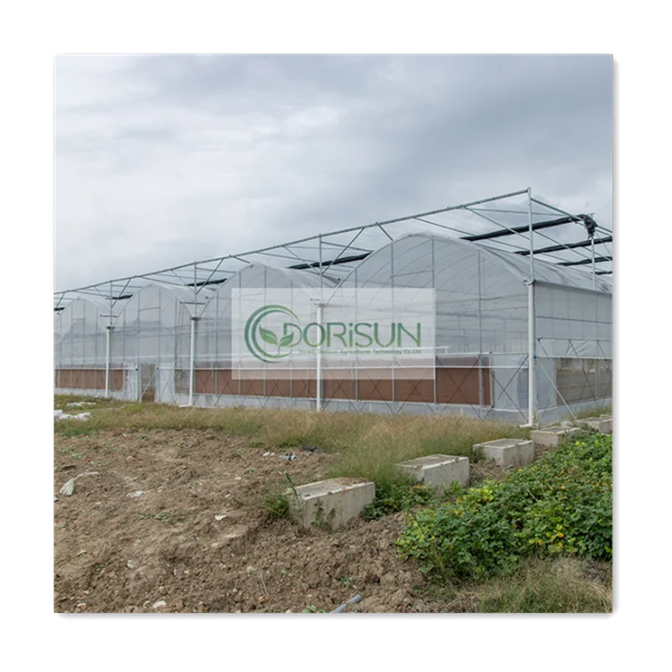 Window Sill Fruit Tree Film Machine Vent Windows Picking Cart Inflation Pump Film Welding Flood Trays Greenhouse