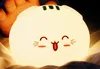 Cute cat colorful