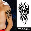 TBS-8010