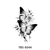 ผีเสื้อ-8544