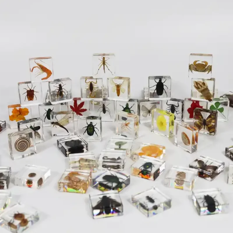 24 Styles Insect In Resin Specimen Butterfly Bugs Collection Paperweights,Real Bug Ocean Anima Specimen Bug Kit Preserved In Resin For Scientific