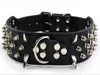 silver spikes:black