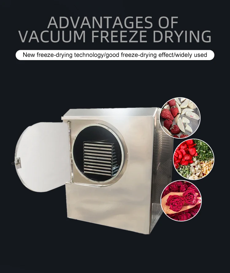 Freeze Dryer Food Drying Machine Freeze Dryer Machine For Fruit Juice Freeze Dryer Machine Price