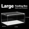 Caja de cría acrílica grande 30*20*15