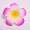 Rose Pink+White