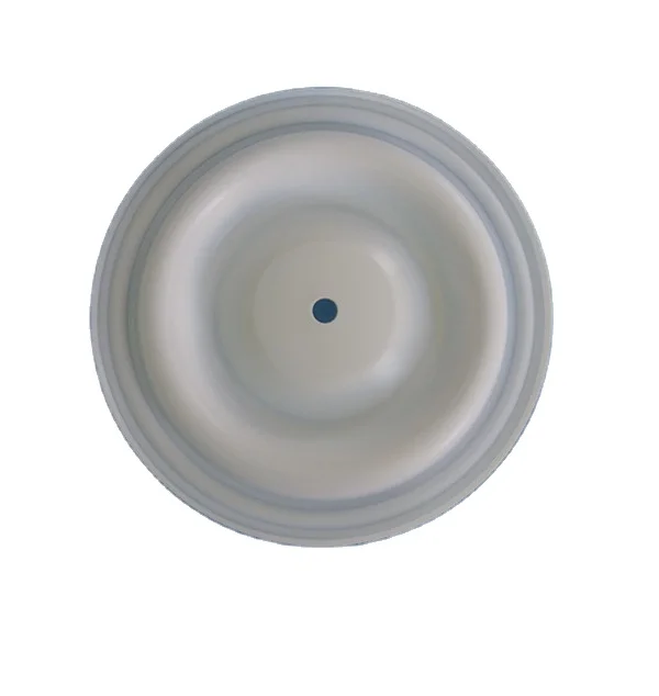 CF 04-1010-55 Ptfe Diaphragm