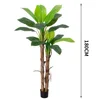 180cm green