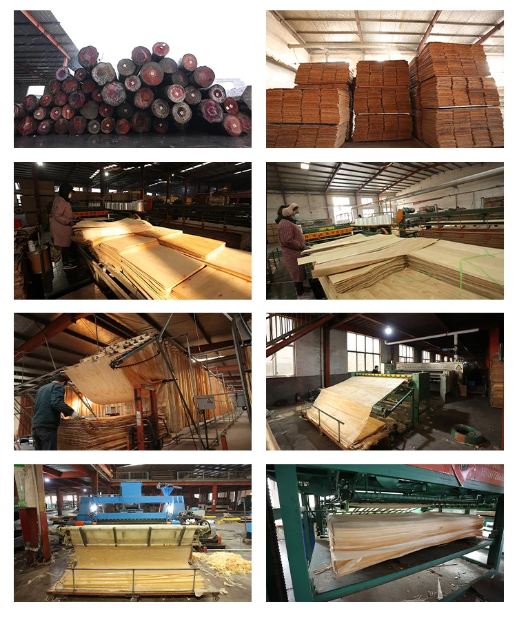 Wholesale 3mm 15mm 18mm 4x8 Uv Coated Russian Baltic Birch Plywood ...