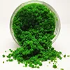 coloré Coloré Vert moyen 185ml