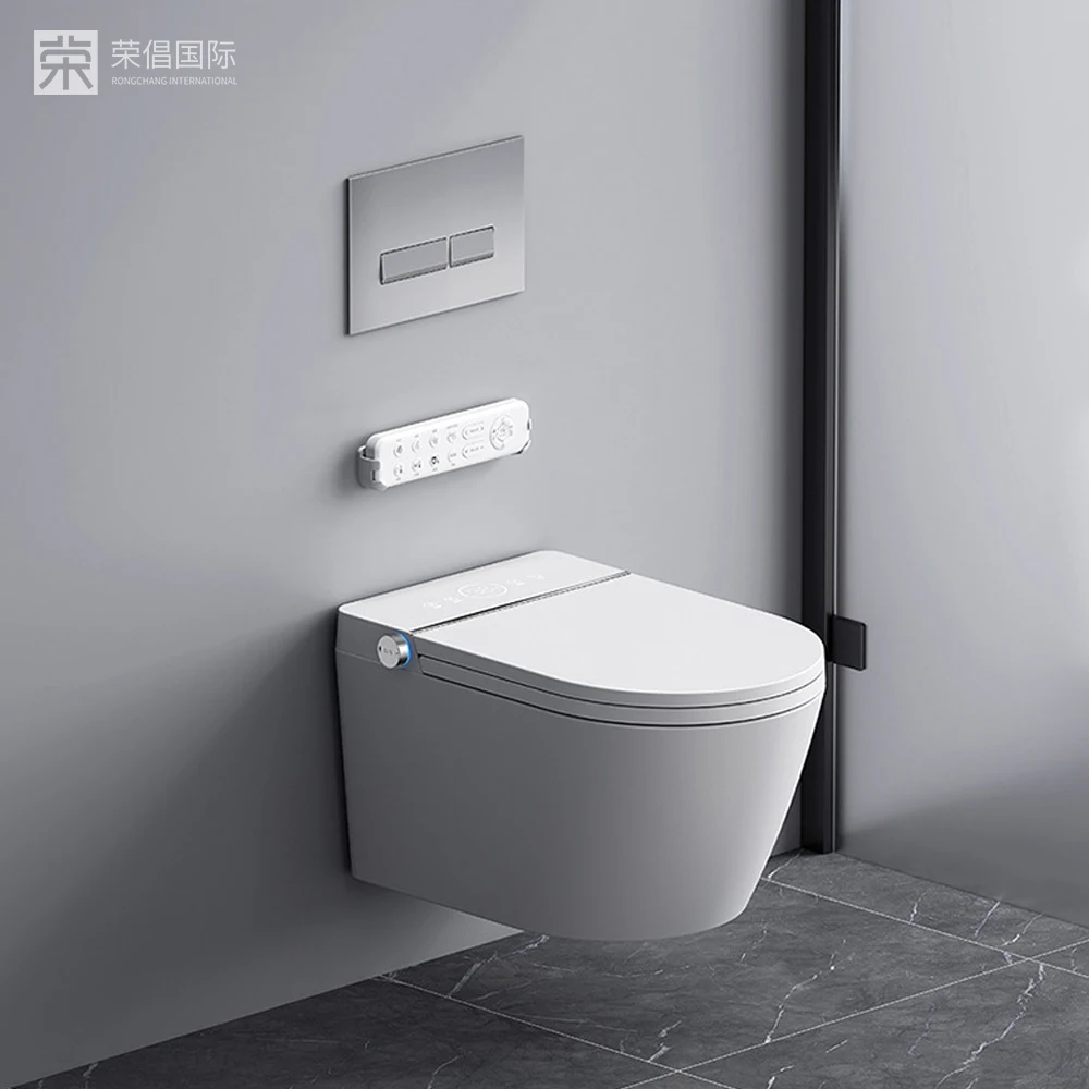 Luxury Wall Mounted Wall Hung Toilet Hidden Water Tank Bathroom