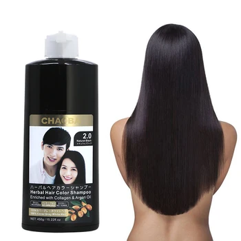 OEM ODM factory private label Ginger Extract Non Allergic age Control Natural Fast Black Hair Dye Shampoo hair dye
