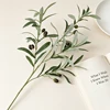 Bunan 4 Forks Olive with Fruit 71cm