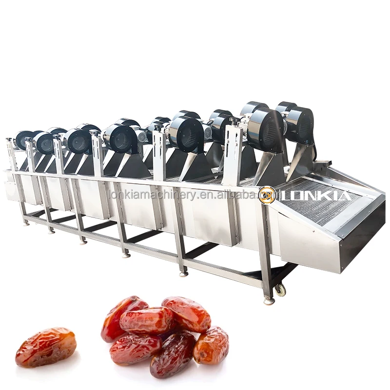 Large Capacity Automatic Date Palm Washing Machine for Efficient Date Cleaning Drying Sorting Processing Line