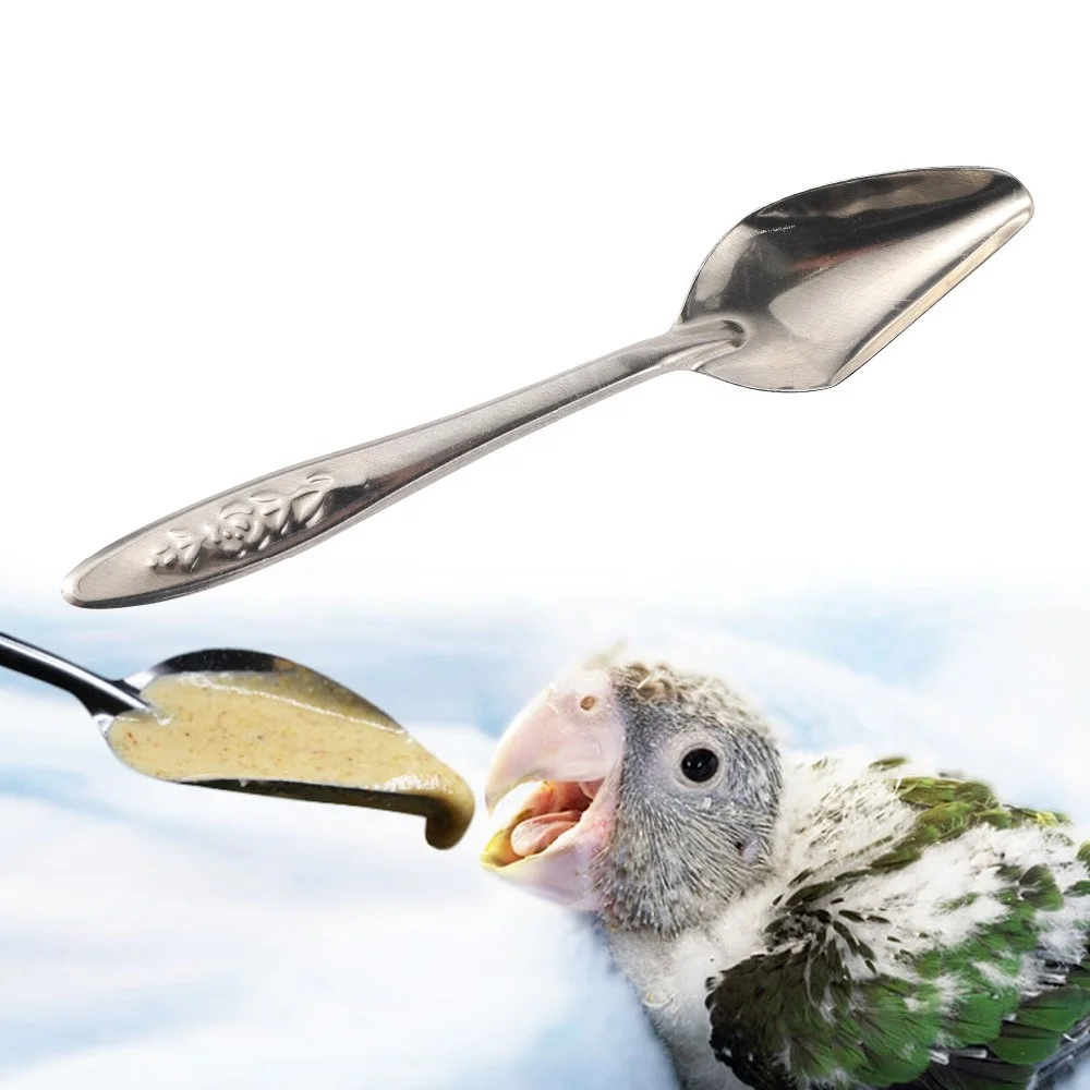 Nestling Feeding Spoon Bird Parrot Feeding Spoon Stainless Steel Water Milk Powder Feeder Spoons