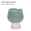 Tulip -green