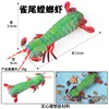 Gamberetti Mantis colorati M-3578 Sparrow Tail