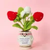Pianta di fragole in vaso