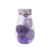 Pourpre