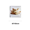 Square 40*40mm