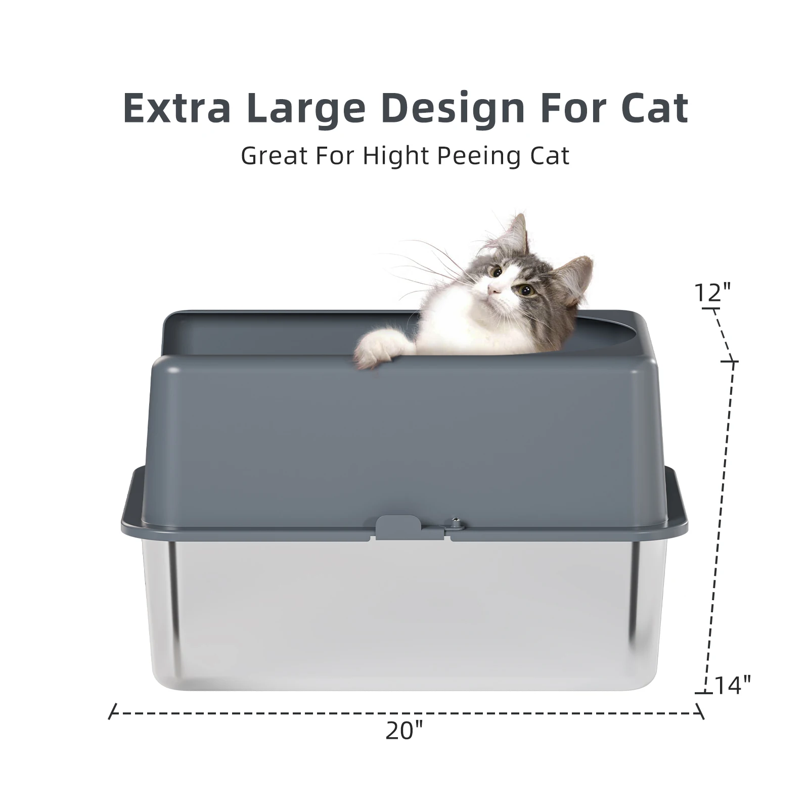 de arena arenero amazon gatos