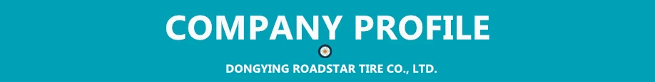 COMPANY PROFILE