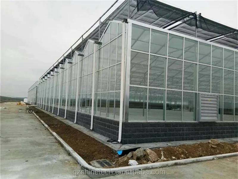 triangle roof greenhouse
