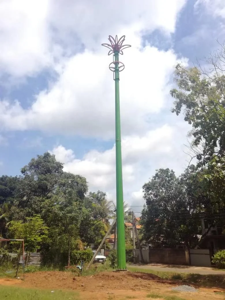 product-1-1 product-1-1