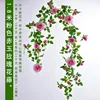 Pink French rose vine, 1.8 meters tall, with branches.