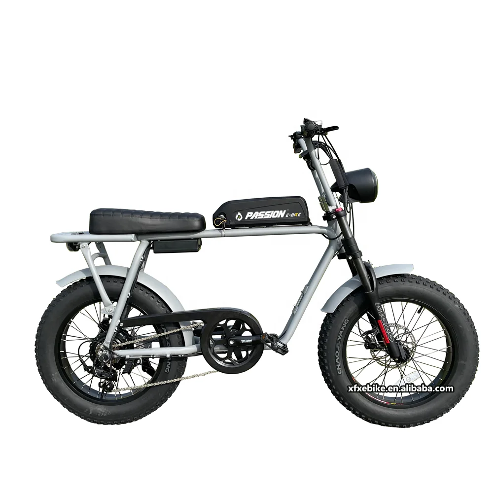 2022 Electric Fat Bike - 20 Inch, 750w Power, Aluminum Frame