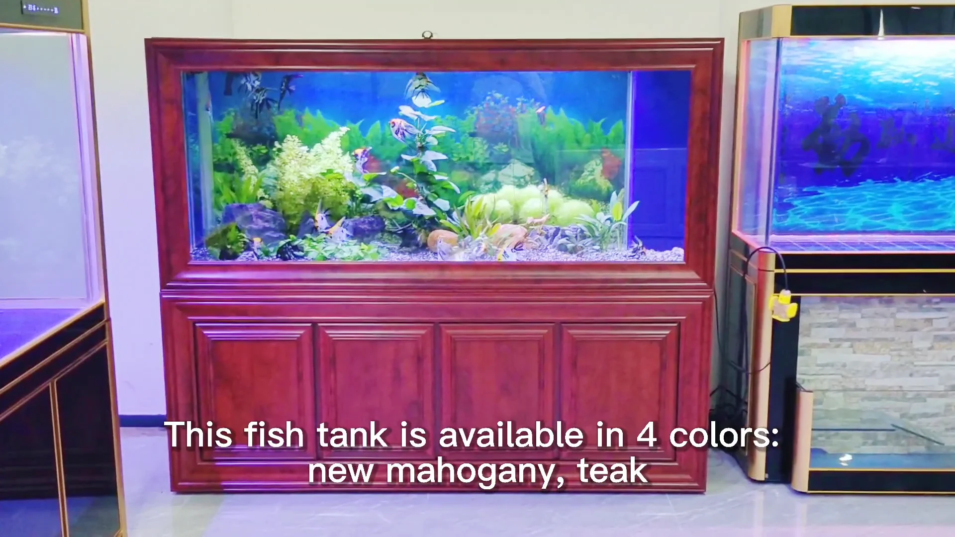 額縁壁掛け水槽大型プール水槽プール水槽| Alibaba.com