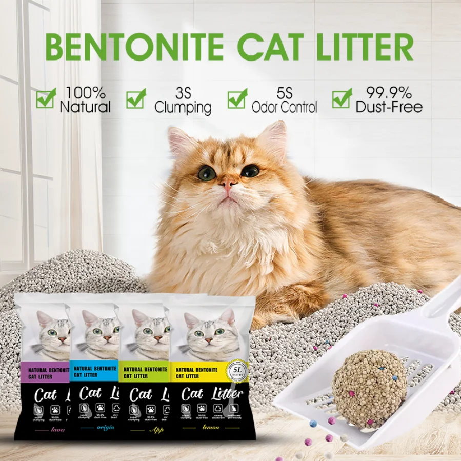 Ogil va qaynona porno