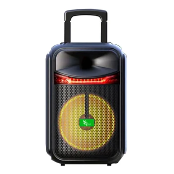 Shenzhen Trolly Portable Speaker 12" 30W Outdoor Karaoke Party with Microphone and FM USB TF LED Light