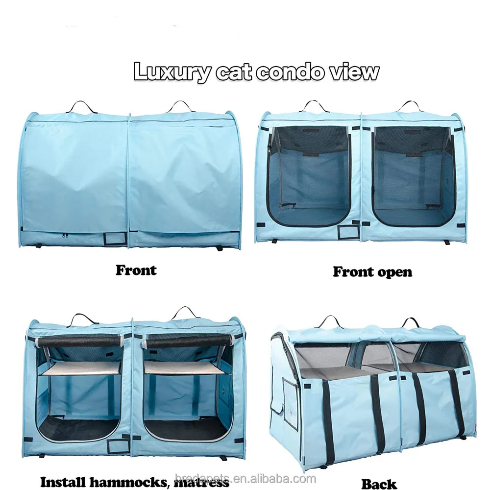 Fresh Look at Double Cat Carrier For 2 Cats Portable Soft Sided Cat