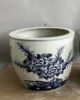 Bleu et blanc-Fleur