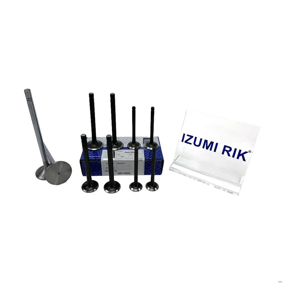 Wholesale Engine Parts IZUMI RIK 6M1015 Valve for Deutz