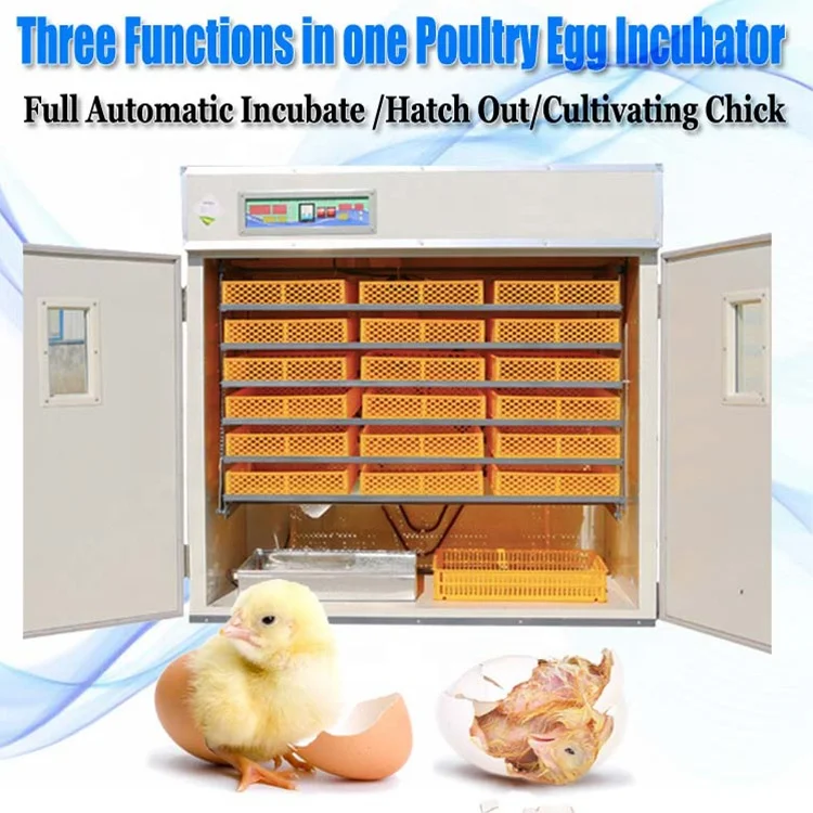 High Hatching Rate Fully Automatic Hatcher Machine 1200 Egg Incubator for Sale in Uganda/