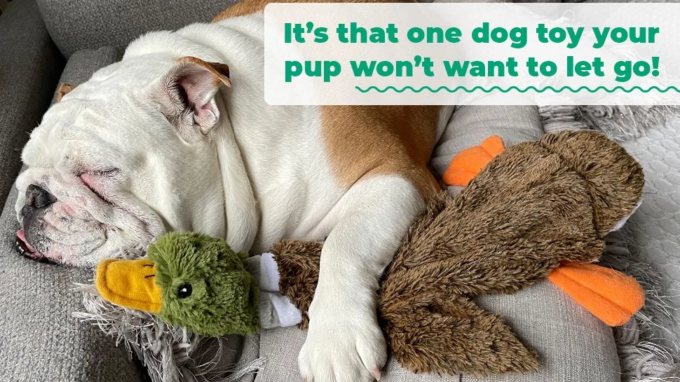 Dropshipping Pet Chew Plush Biting Toy Durable Squeaky Dog Toys For