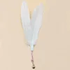 White feather
