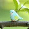 Gira la testa, uccellino blu