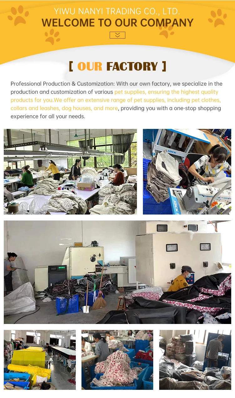 Designer Luxury Brand Dog Toys Cute Pet Dog Chewing Squeaky Toy Plush