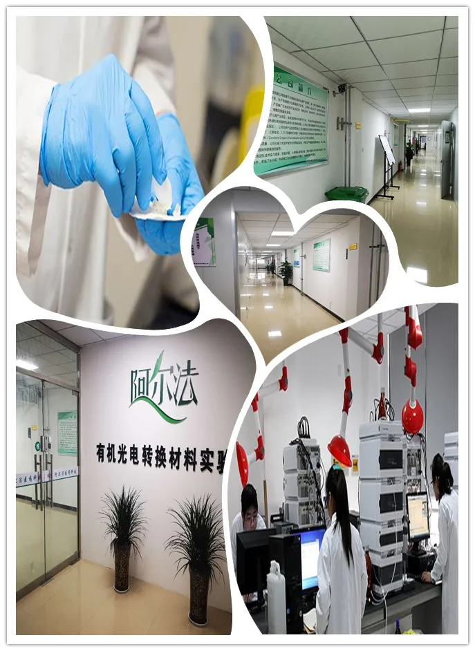Ginsenoside Ginseng Extract Ginsenoside Rb2/RC/Rg3/Rg1/Rg3/RO/Rb1/RF/Re/Rg2/Rd CAS 22427-39-0