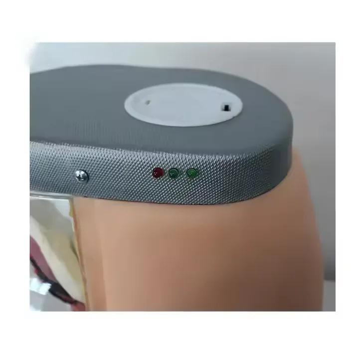 Advanced Intramuscular Injection Simulator for Medical College Students Buttocks Manikin for Nursing Skills Medical Science
