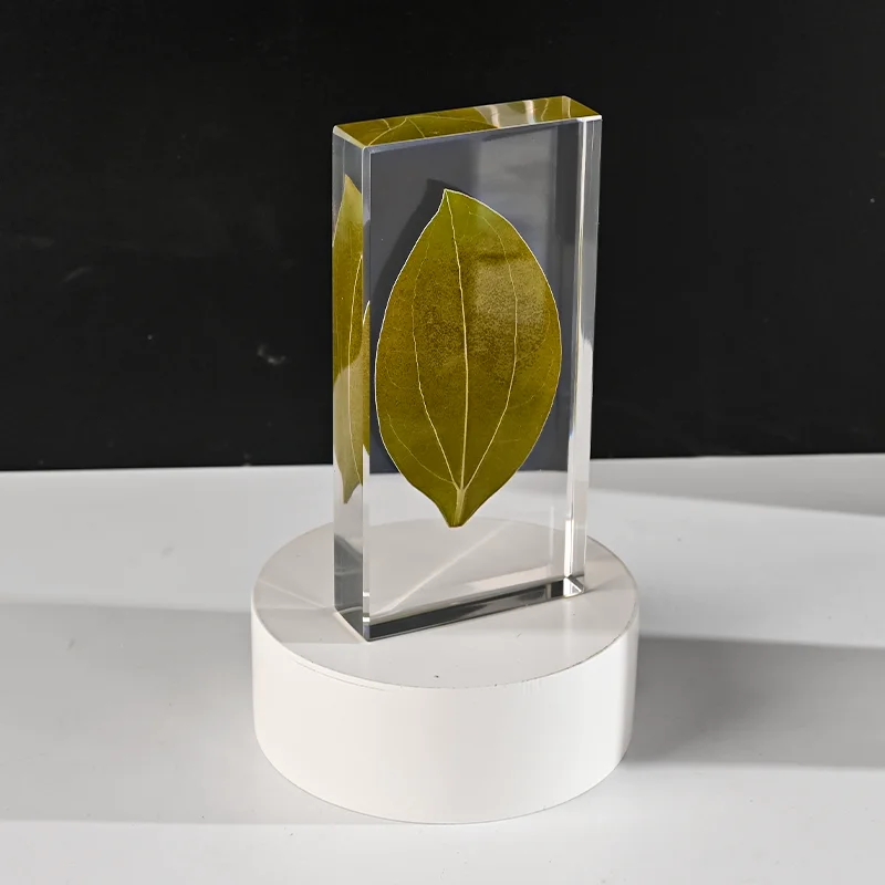 product shining clear glass custom crystal dome paperweight leaf specimen art creative gift book desktop blank crystal cube-6